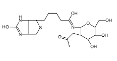 N-GlcNAc-生物素	1272755-69-7	       2-乙酰氨基-2-脱氧-BETA-D-吡喃葡萄糖基氨基生物素