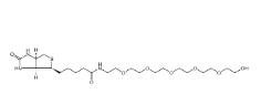 Biotin-PEG6-alcohol	        906099-89-6	   (3AS,4S,6AR)-六氢-N-(17-羟基-3,6,9,12,15-五氧杂十七烷-1-基)-2-氧代-1H-噻吩并[3,4-D]咪唑-4-戊酰胺