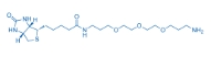 183896-00-6/Biotin-C1-PEG3-C3-amine/基于PEG的PROTAC接