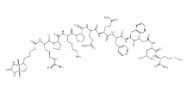 87468-58-4/Biotin-Substance P/BIOTIN-ARG-PRO-LYS-PRO-GLN-GLN-PHE-PHE-GLY-LEU-MET-NH2