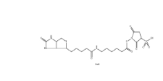 Sulfosuccinimidyl 6-(biotinamido)hexanoate、127062-22-0、生物素酰氨基己酸-3-磺酸基-N-羟基琥珀酰亚胺酯