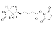 35013-72-0/Biotin NHS/(+)生物素-N-琥珀酰亚胺基酯