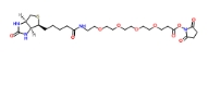459426-22-3、Biotin-PEG4-NHS ester、生物素-PEG4-活性酯