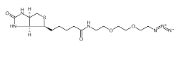 Biotin-PEG3-azide/CAS:945633-30-7/Biotin-PEG2-CH2CH2N3