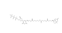Biotin-16-dUTP、86303-26-6
