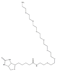Biotin-PEG7-amine/1334172-76-7/生物素-八聚乙二醇-氨基/小分子PEG