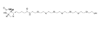 Biotin-PEG8-alcohol、2182601-20-1、生物素-八聚乙二醇-乙醇、小分子PEG