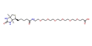 CAS:1352814-10-8/Biotin-PEG6-COOH/21-[D(+)-生物素基氨基]-4,7,10,13,16,19-六氧杂二十一烷酸