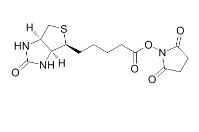 CAS:72040-63-2,NHS-LC-Biotin,NHS-Biotin,35013-72-0