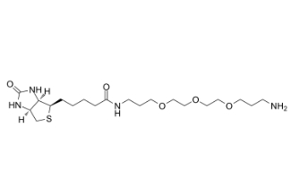Biotin-PEG3-CH2-NH2、1374658-86-2、生物素-三聚乙二醇-亚甲基-氨基