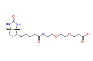 Biotin-PEG2-COOH、1365655-89-5、生物素-PEG2-酸