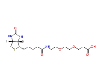 英文名：Biotin-PEG2-Acid、1365655-89-5、生物素-PEG2-酸
