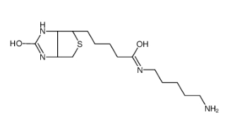 5-（Biotinamido）pentylamine、115416-38-1、生物素-氨基