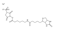 Sulfo-NHS-LC-Biotin,CAS:127062-22-0,水溶活性酯生物素交联剂