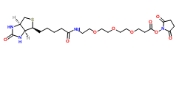 （+）-Biotin-PEG3-NHS Ester;1253286-56-4；生物素-聚乙二醇3-NHS酯