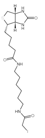 93285-75-7/Iodoacetyl-LC-Biotin/N-生物素-N＇-(碘乙酰基)-1,6-己二胺 