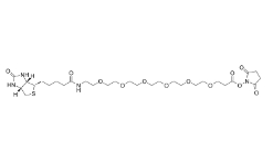 (+)-Biotin-PEG6-NHS Ester；2055045-04-8；生物素-六聚乙二醇-丙烯酸琥珀酰亚胺酯