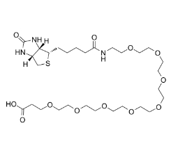 (+)-Biotin-PEG8-CH2CH2COOH；2143964-62-7；BIOTIN-八聚乙二醇-丙酸