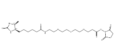 Desthiobiotin-PEG3-NHS ester；2411681-92-8；脱硫生物素-三聚乙二醇-活性酯