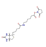 NHS-LC-Biotin；72040-63-2；N-琥珀酰亚氨基6-生物素氨己酸；生物素交联剂