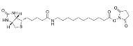 Biotin-C10-NHS Ester/887628-40-2/生物素-C10-N-羟基琥珀酰亚胺酯