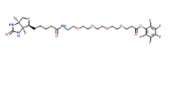 CAS:1334172-58-5/Biotin-PEG4-PFP/生物素四聚乙二醇五氟苯酯