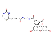 Biotin-4-Fluorescein，1032732-74-3，FITC-4-Biotin