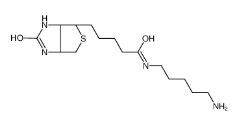 Biotin-Amine，115416-38-1，生物素氨基