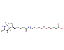 Biotin-PEG3-COOH/CAS：252881-76-8/生物素三聚乙二醇羧基