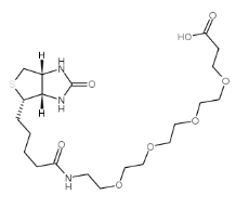 Biotin-PEG4-COOH/CAS:721431-18-1/生物素四聚乙二醇羧基