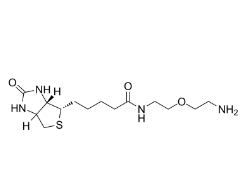 Biotin-PEG1-amine/cas:811442-85-0/生物素一聚乙二醇氨基