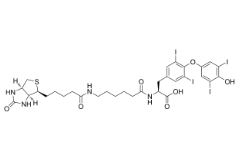 Biotin-hexanamide-(L-Thyroxine)；2278192-78-0；生物素己酰胺-（L-甲状腺素）
