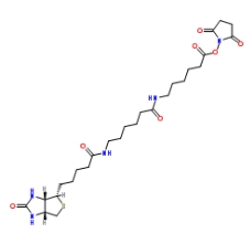 Biotin-AC5-AC5-OSU 生物素氨基己酸氨基己酸琥珀酰亚胺酯；89889-52-1