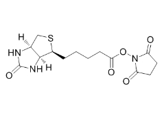 生物素-N-琥珀酰亚胺基酯	；35013-72-0；BIOTIN-NHS