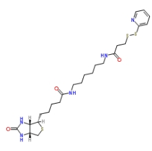 英文名：Biotin HPDP；129179-83-5；生物素-二硫吡啶