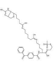 910036-44-1/甲基硫代磺酸2-[Nα-苯甲酰基苯甲酰氨基-N6-(6-生物素氨基己酰基)-L-赖氨酰胺基]乙基