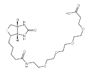 721431-18-1/Biotin-PEG24-COOH/ 15-[D-(+)-生物素氨基]-4,7,10,13-四氧杂十五烷酸