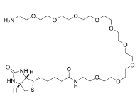 960132-48-3/Biotin-PEG9-amine/生物素-PEG9-胺