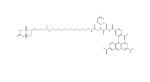 TAMRA-azide-PEG3-Biotin|1527486-16-3|羧基四甲基罗丹明-叠氮-PEG3-生物素