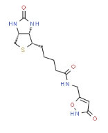 CAS:1454880-96-6；Muscimol Biotin；蝇蕈醇生物
