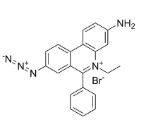 CAS号：58880-05-0，EMA[单叠氮化溴乙非啶]，EMA [Ethidium monoazide bromide]