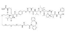 DBCO-PEG4-Val-Cit-PAB-MMAF，CAS:2244602-23-9，二苯基环辛炔-四聚乙二醇-Val-Cit-PAB-MMAF