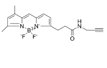 BDP FL 炔烃，BDP FL alkyne，CAS:302795-84-2