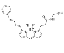 BDP 581/591 alkyne，CAS:2006345-34-0，BDP 581/591炔基