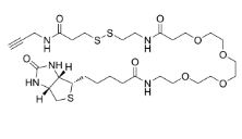 Biotin-PEG(4)-SS-Alkyne，CAS:1260247-54-8，生物素-聚乙二醇-二硫化物链-炔基