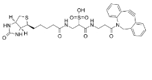 DBCO-sulfo-Biotin，1363444-70-5，二苯并环辛炔-磺酸-生物素