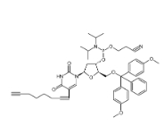 CAS号：938186-76-6，clk-a03-1g c8-alkyne-du-cep, 1 g pack，
