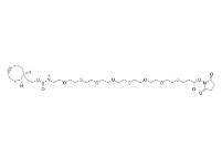 cas:1608140-48-2，endo-BCN-PEG8-NHS ester，endo-环丙烷环辛炔-八聚乙二醇-羟基琥珀酰亚胺酯