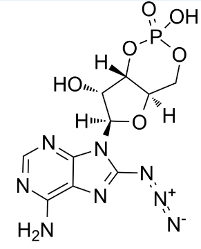 31966-52-6；8-叠氮腺苷3'：5'-环一磷酸