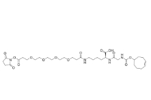 CAS:2307311-19-7，TCO-GK-PEG4-NHS ester